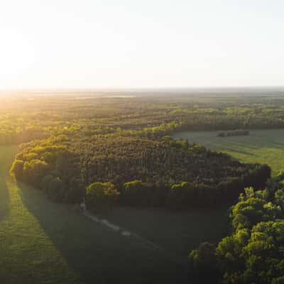 Großer Dungberg, Germany