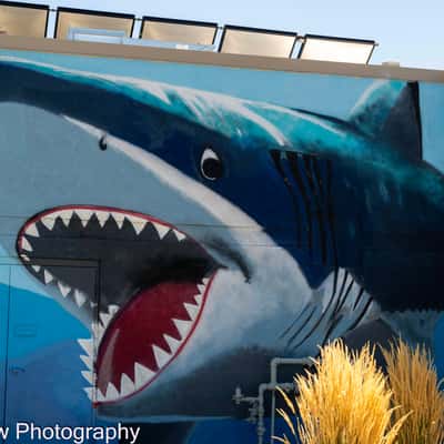 Gunnison Swimming Pool, USA