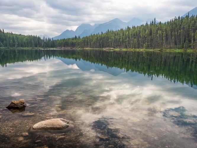 Herbert Lake