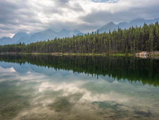 Herbert Lake