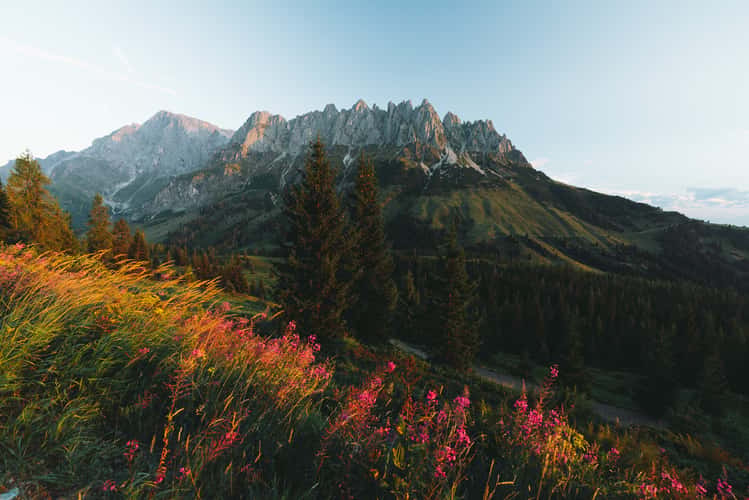 Hochkeil Trail, Mandlwände