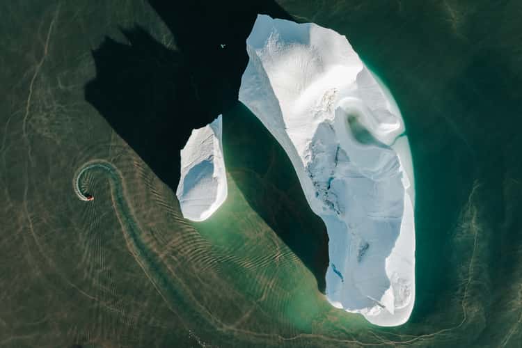 Icebergs in Charcot Havn, Scoresbysund