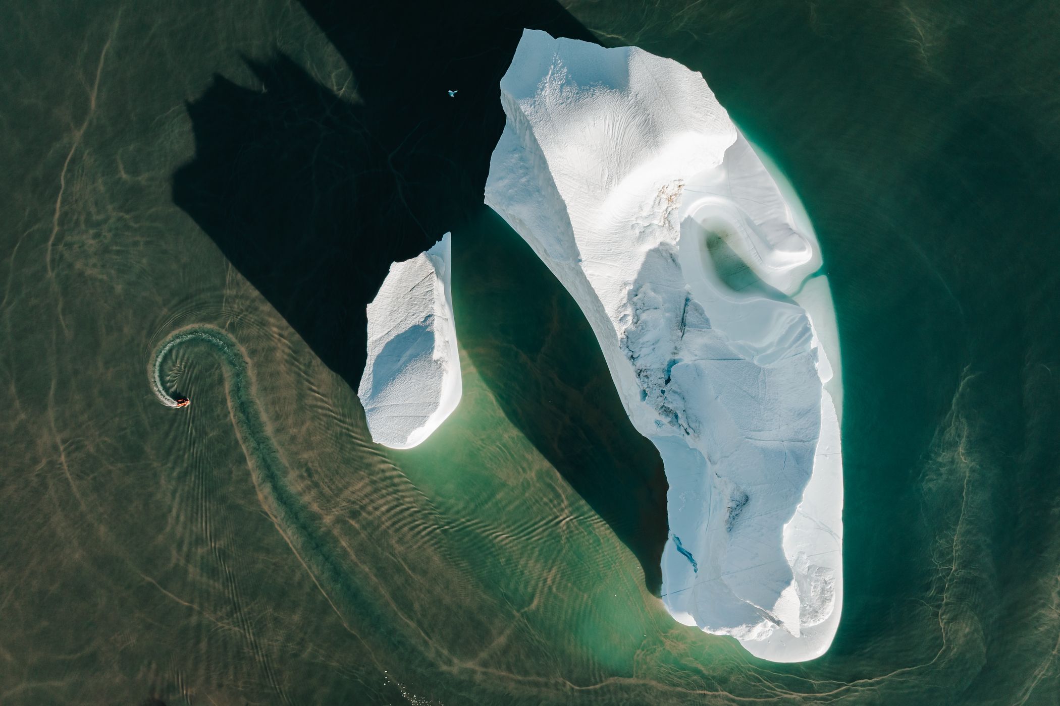 Icebergs in Charcot Havn, Scoresbysund, Greenland
