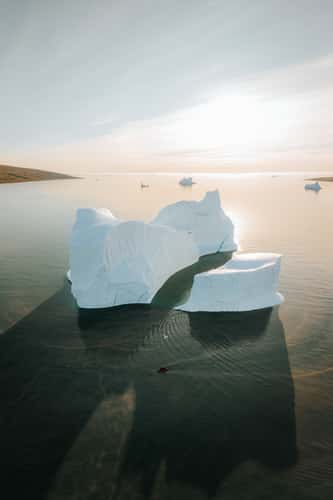 Icebergs in Charcot Havn, Scoresbysund