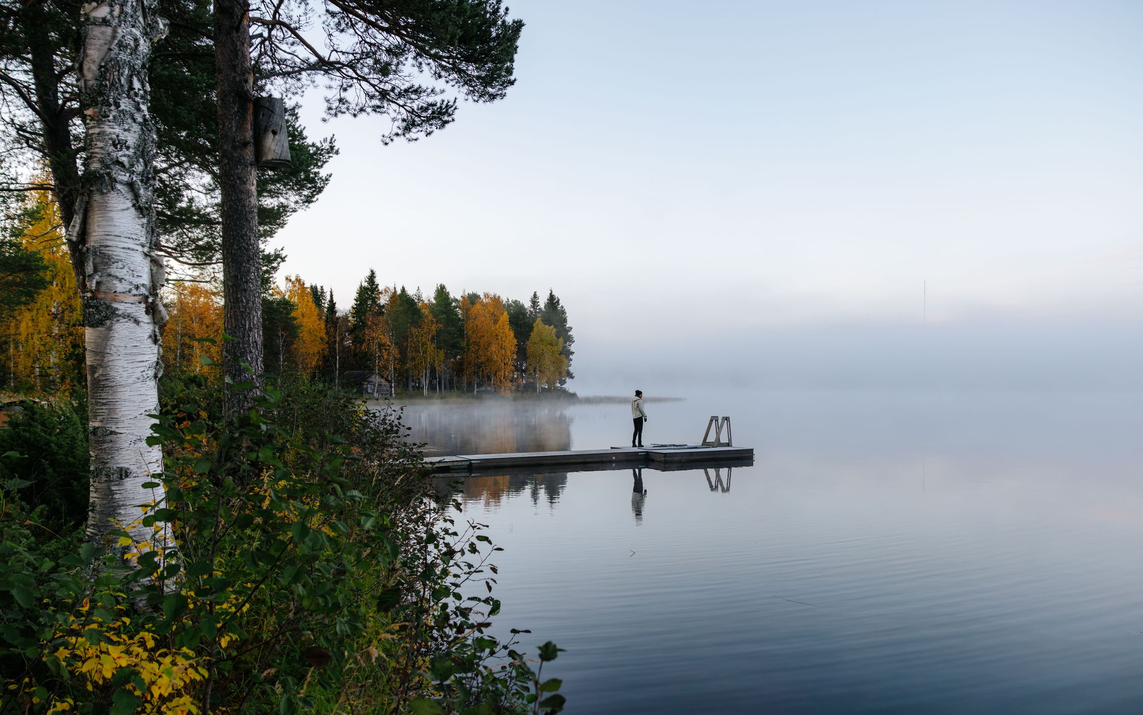 Jetty at shoreline, Pyhäjärvi, Pyhä-Luosto National Park, Finland