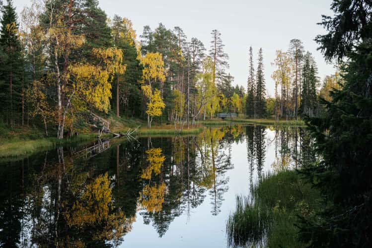 Kantalampi in Luosto