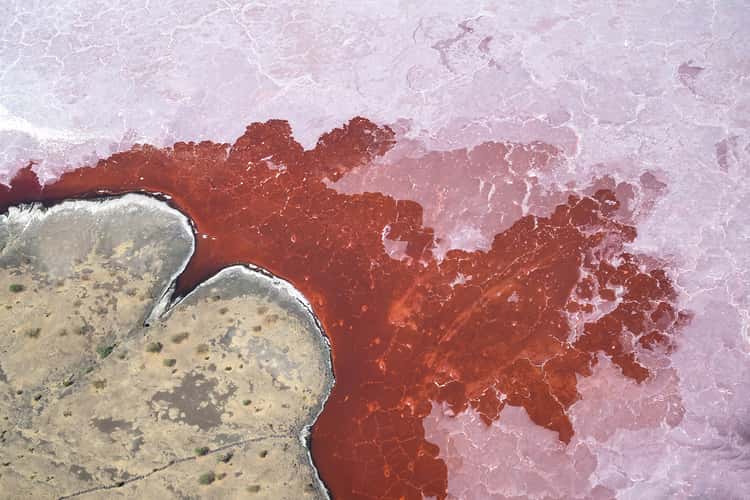 Lake Magadi
