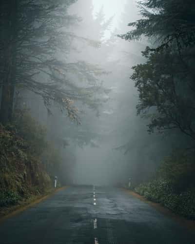 Misty Way to Pico do Arieiro