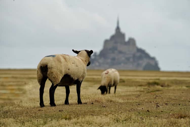 Mont St Michel