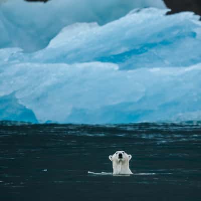 Moon glacier, Scoresbysund, Greenland