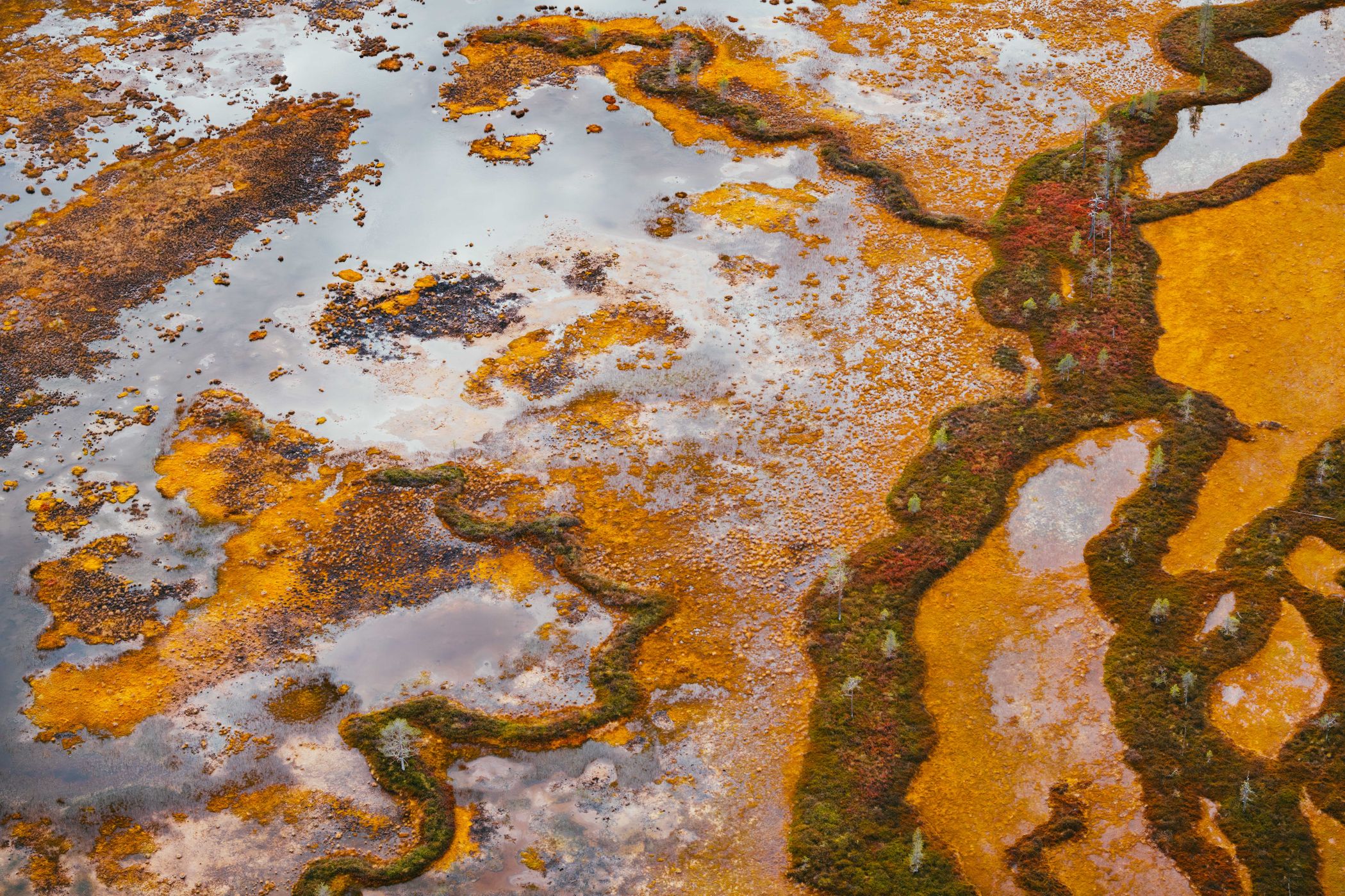 Moor in Pyhä-Luosto-Nationalpark, Lapland (autumn), Finland