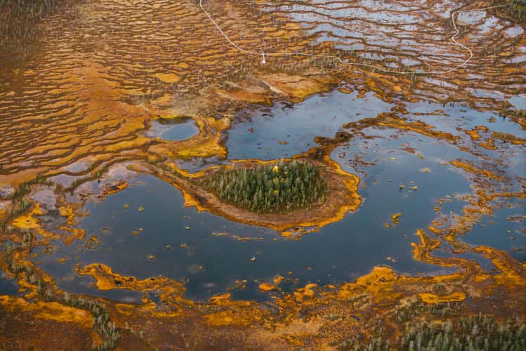 Moor in Pyhä-Luosto-Nationalpark, Lapland (autumn)