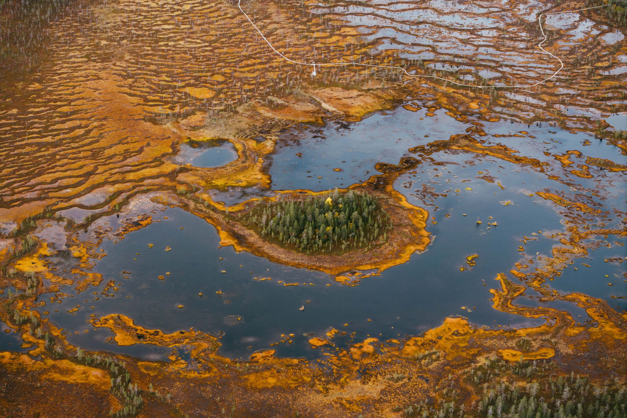 Moor in Pyhä-Luosto-Nationalpark, Lapland (autumn), Finland