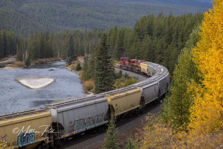 Morant's Curve