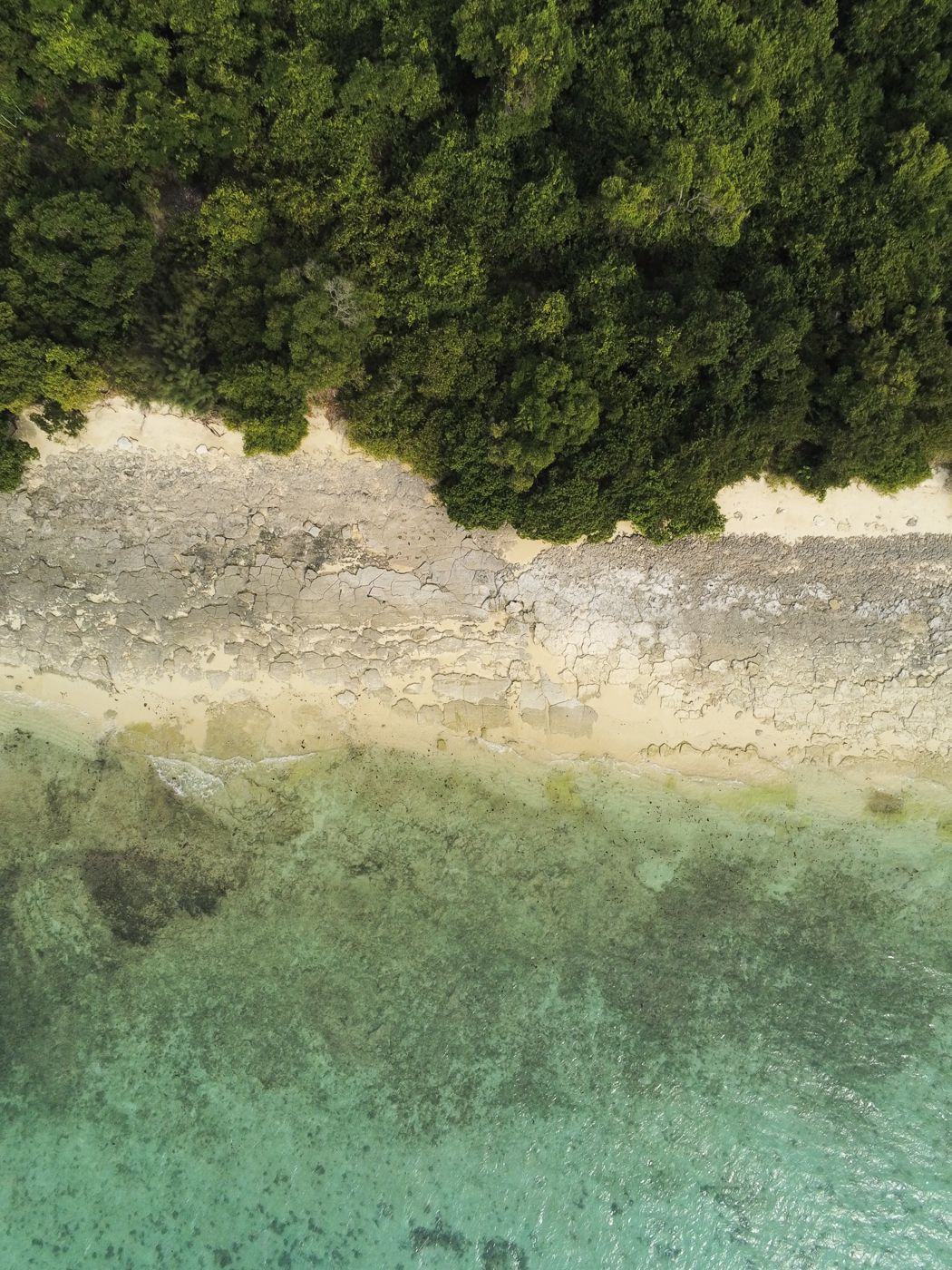 Mpapaini (Turtle) Beach, Tanzania