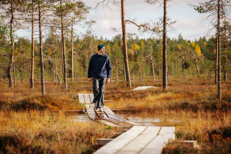New walkway, moor in Pyhä-Luosto-Nationalpark (autumn)