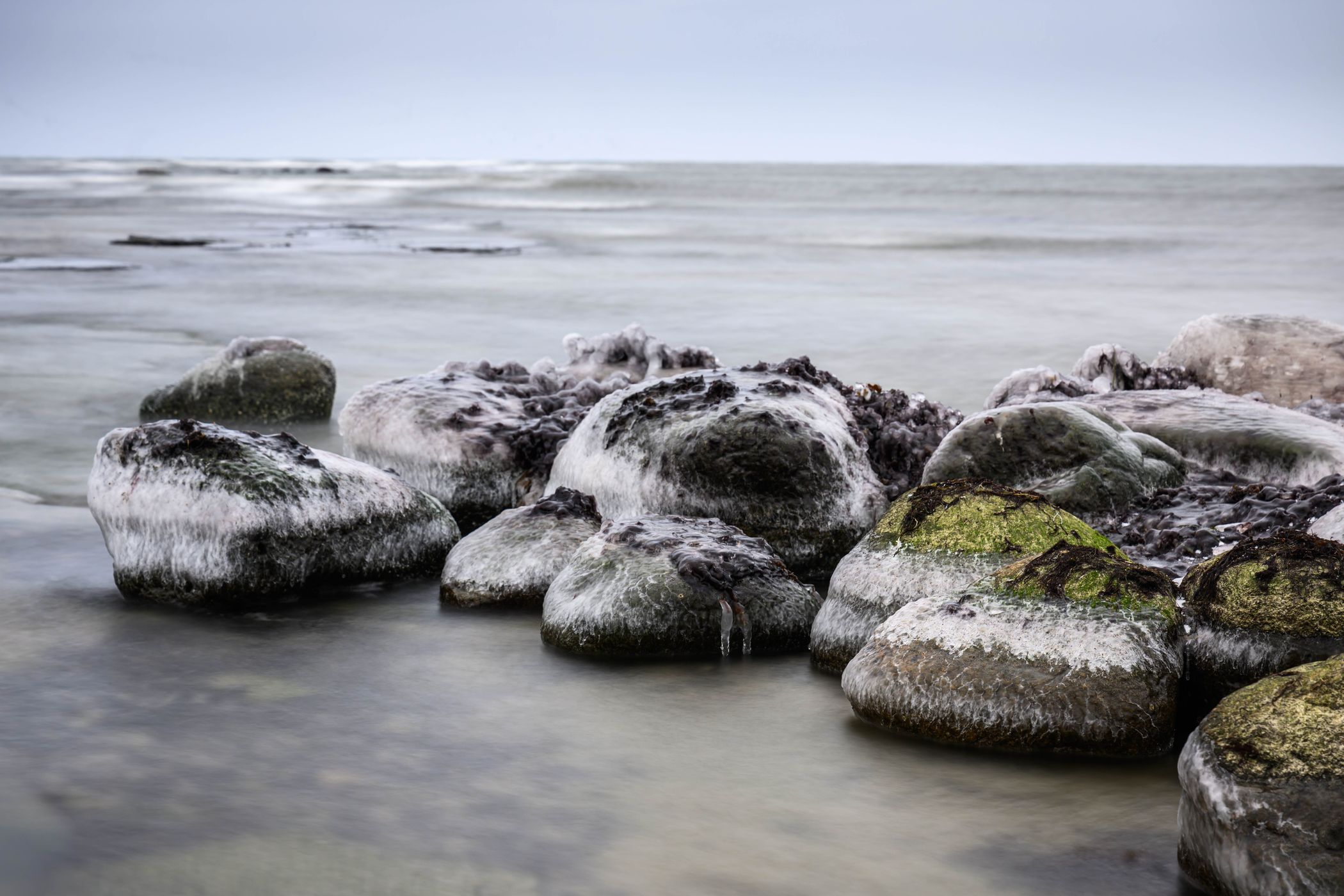 Södra Alvaret, Sweden