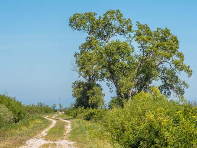 Ottawa National Wildlife Refuge