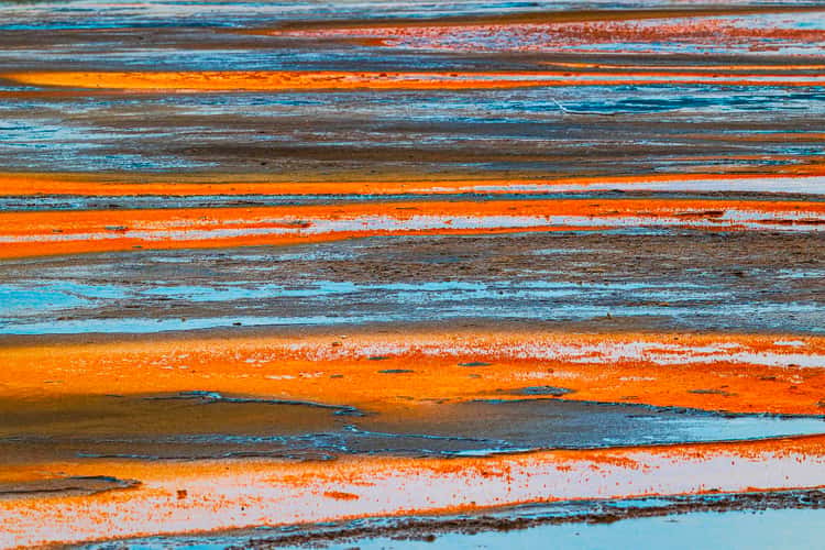 Pastel Tones in Yellostone