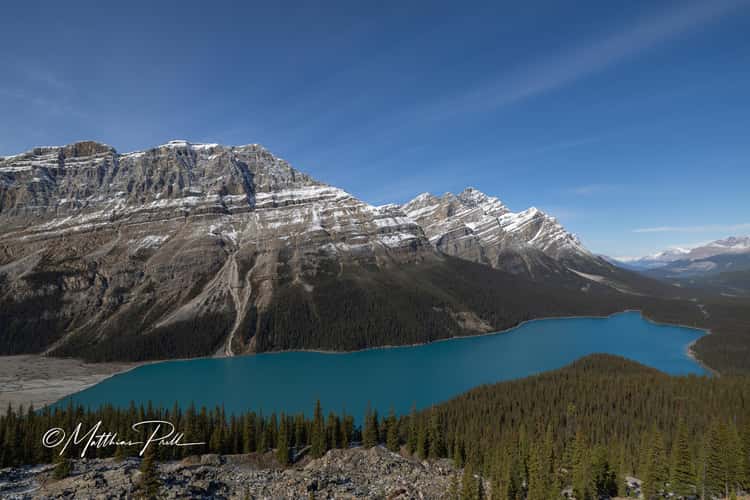 Peyto Lake Overview from Bow Summit