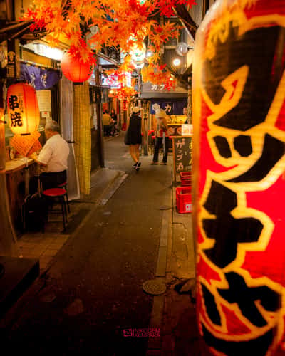 Piss Alley / Omoide Yokocho
