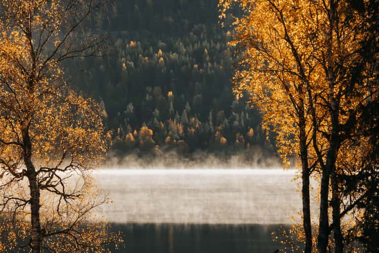 Pyhäjärvi, Pyhä-Luosto National Park
