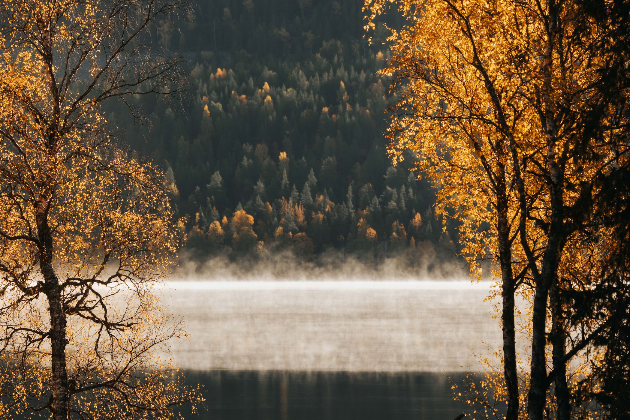 Pyhäjärvi, Pyhä-Luosto National Park, Finland