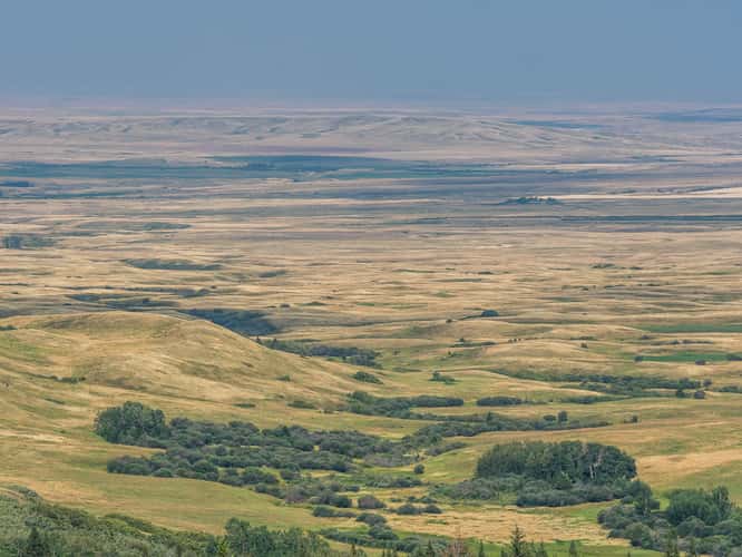 Reesor Lake Viewpoint
