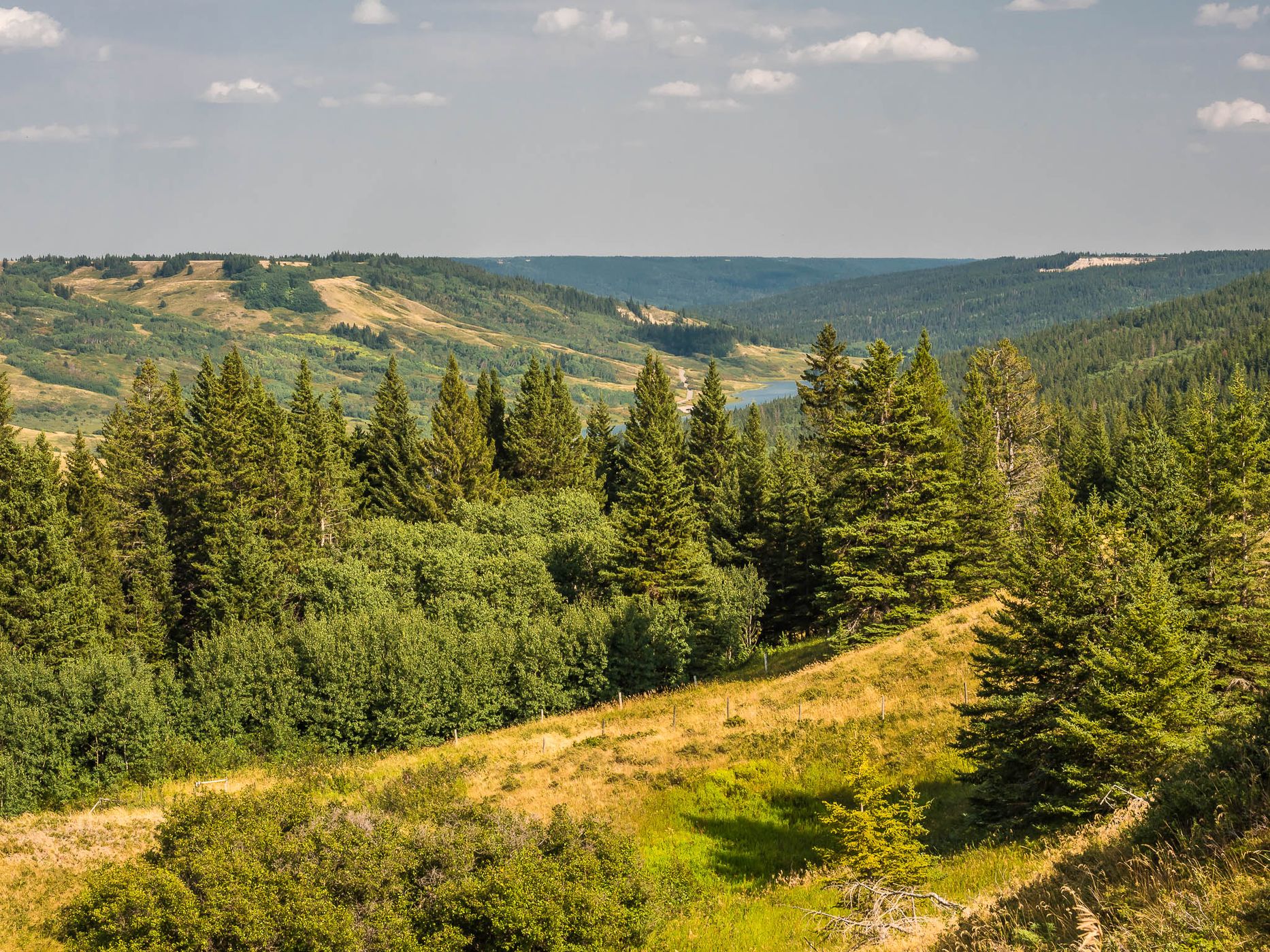 Reesor Lake Viewpoint, Canada