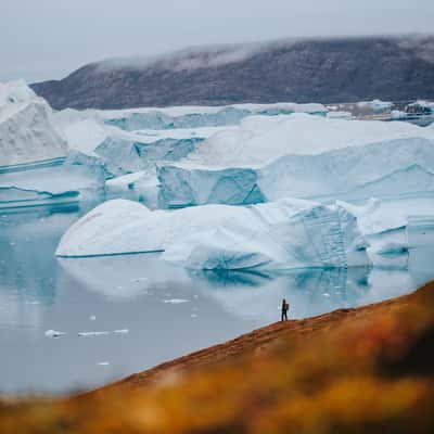 Røde Ø (Red Island) and iceberg graveyard, Scoresbysund, Greenland