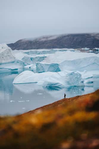 Røde Ø (Red Island) and iceberg graveyard, Scoresbysund