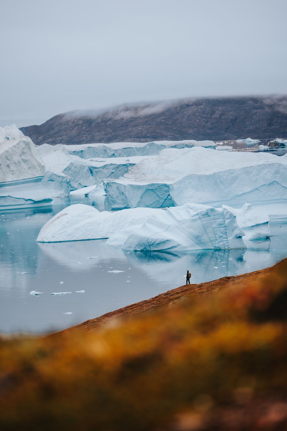 Røde Ø (Red Island) and iceberg graveyard, Scoresbysund, Greenland