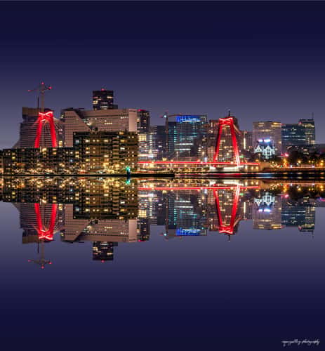 Rotterdam Skyline