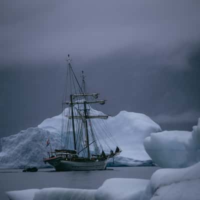 Rypefjord, Scoresbysund, Greenland