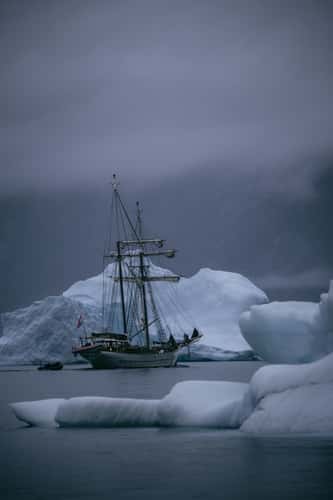 Rypefjord, Scoresbysund