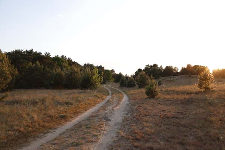 Sanddünen in den Taufwiesenbergen
