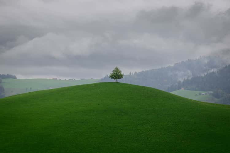 Schwand