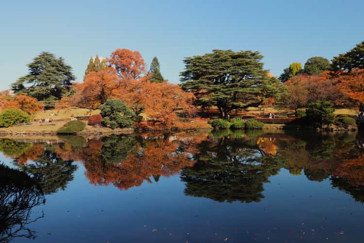 Shinjyuku Gyoen
