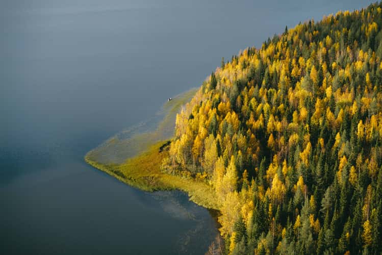 Shoreline at Pyhäjärvi, Pyhä-Luosto National Park