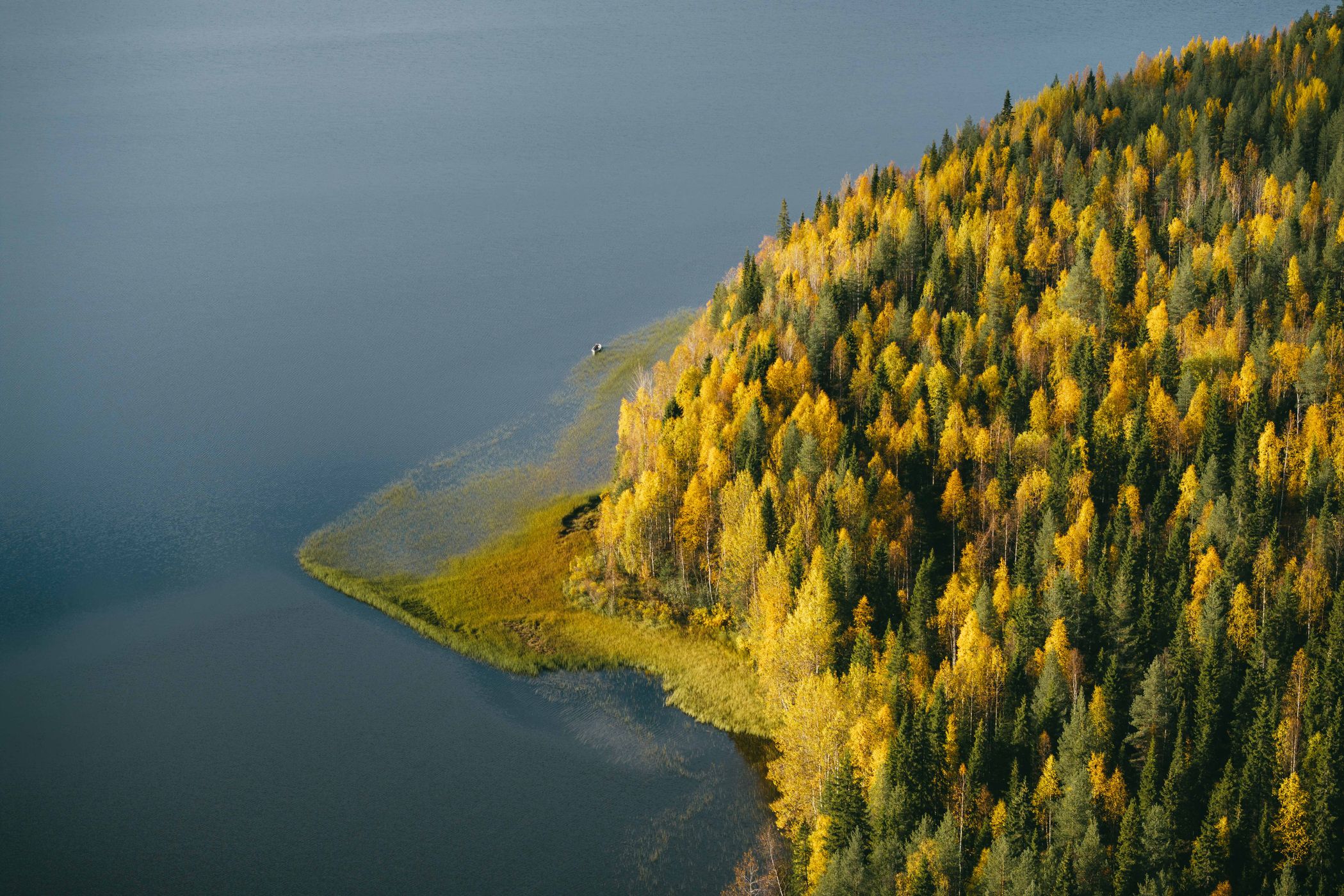 Shoreline at Pyhäjärvi, Pyhä-Luosto National Park, Finland