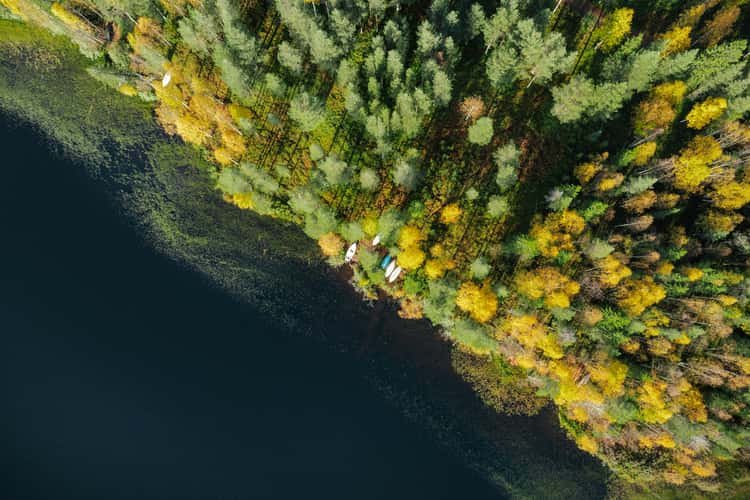 Shoreline at Pyhäjärvi, Pyhä-Luosto National Park