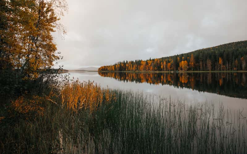 Small jetty at Kurula´s resort, Pyhä-Luosto National Park