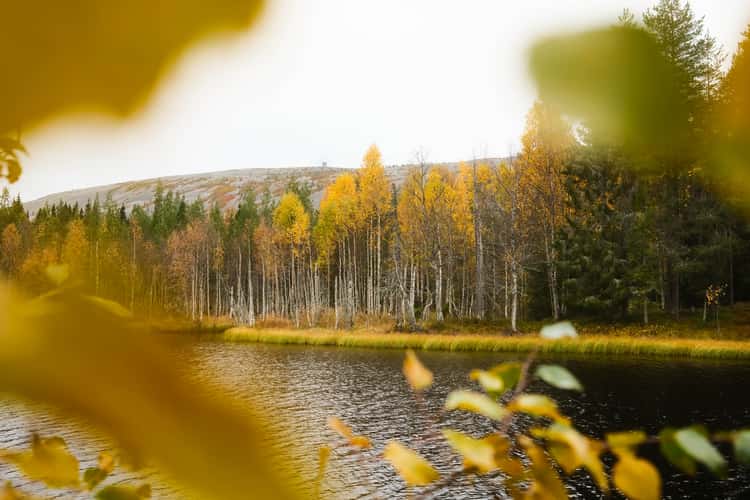 Small pond, Luosto-Pyhä National Park