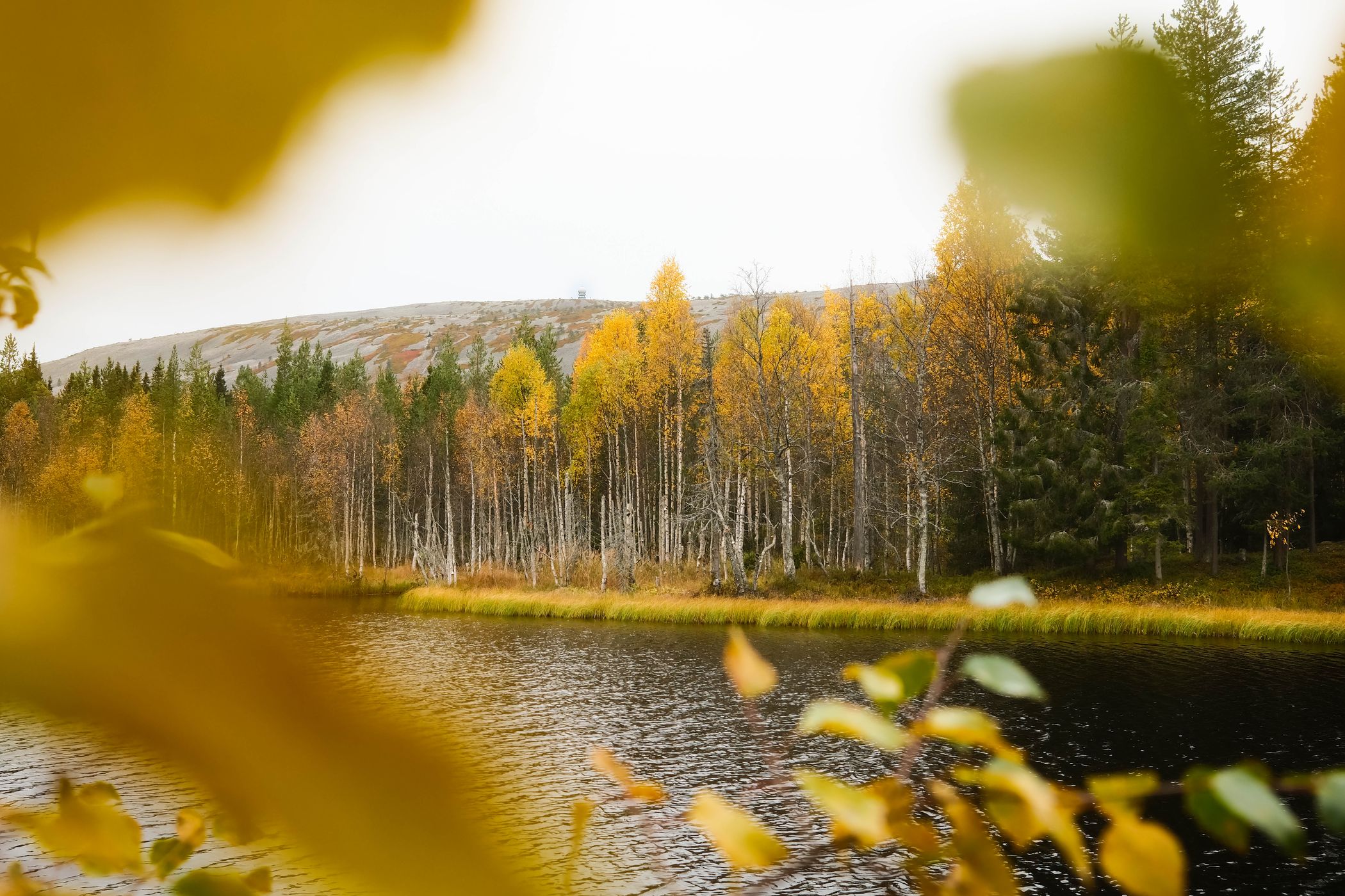 Small pond, Luosto-Pyhä National Park, Finland