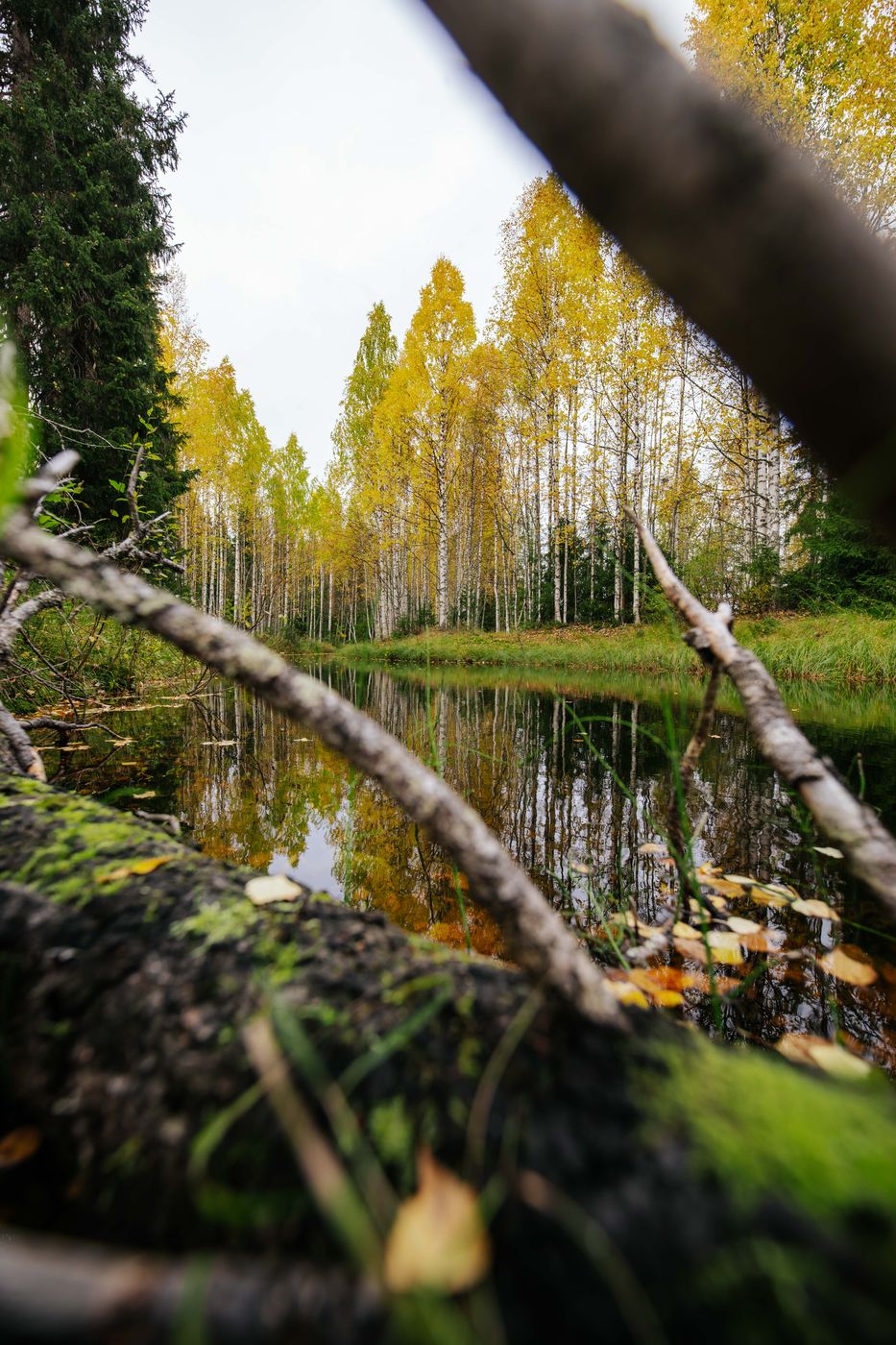 Small pond next to Ahvenlampi, Luosto, Finland