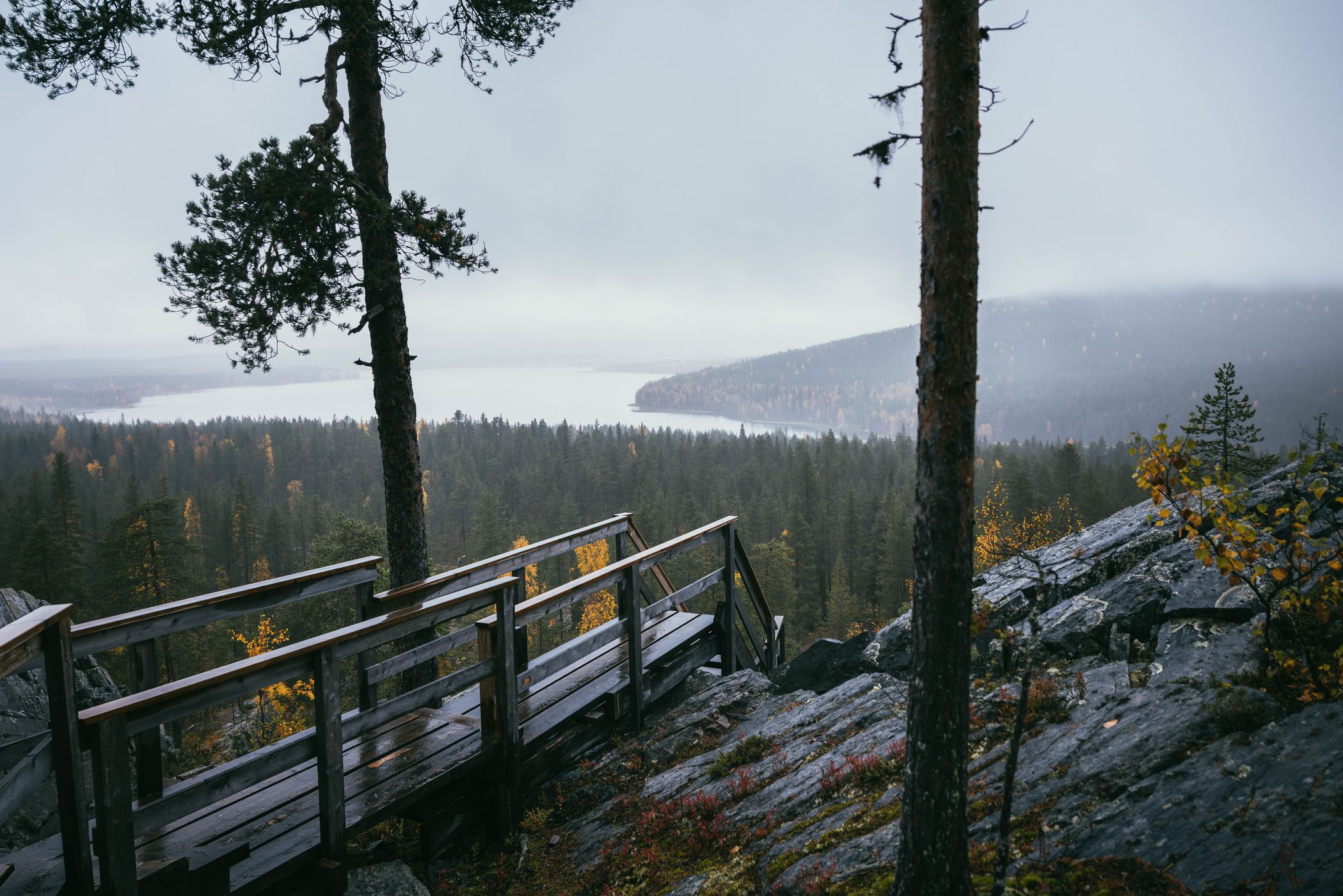 Stairs near Aittakuru Gorge, Pyhä-Luosto National Park, Finland