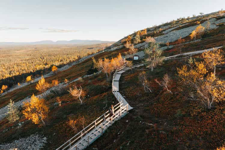 Stairs up too Ukko-Luosto, Pyhä-Luosto National Park