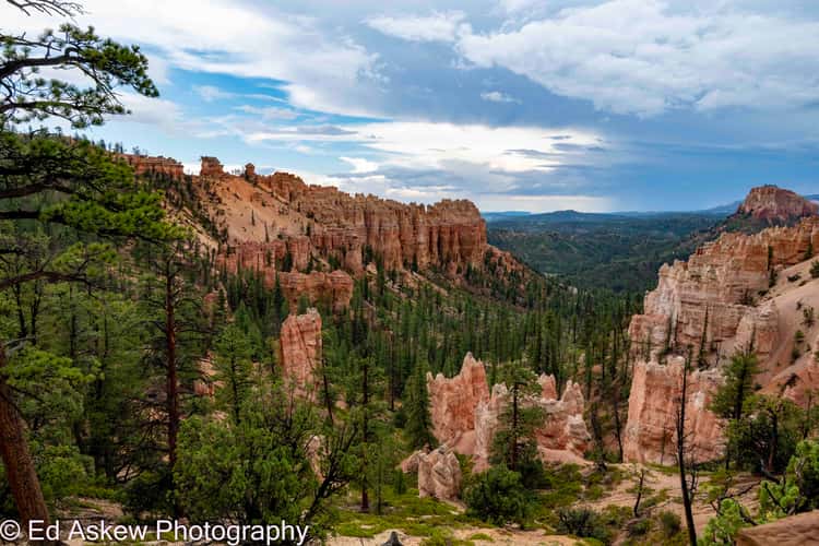 Swamp Canyon Overlook