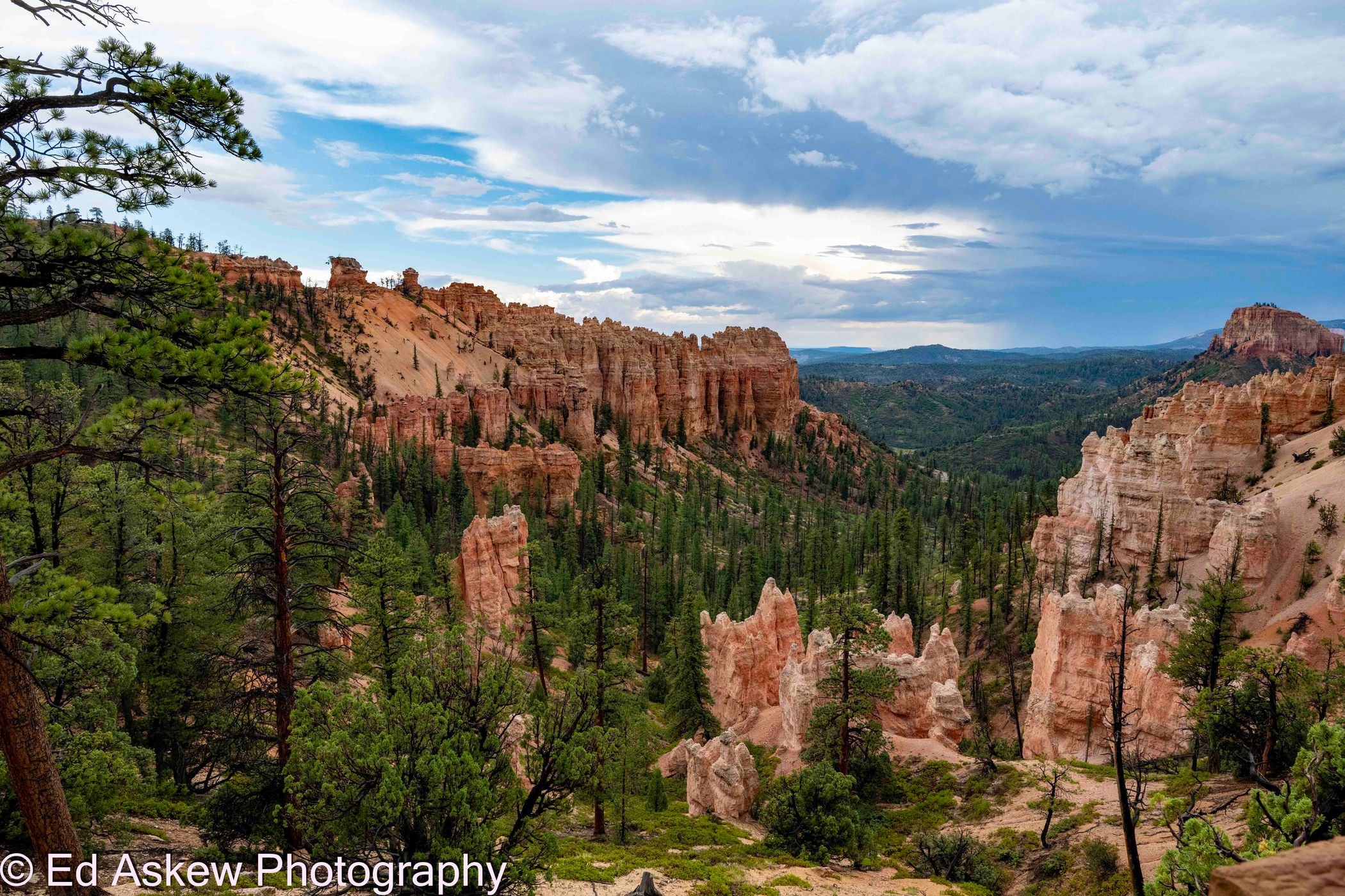 Swamp Canyon Overlook, USA
