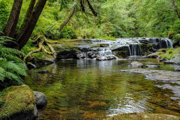 Sweet Creek